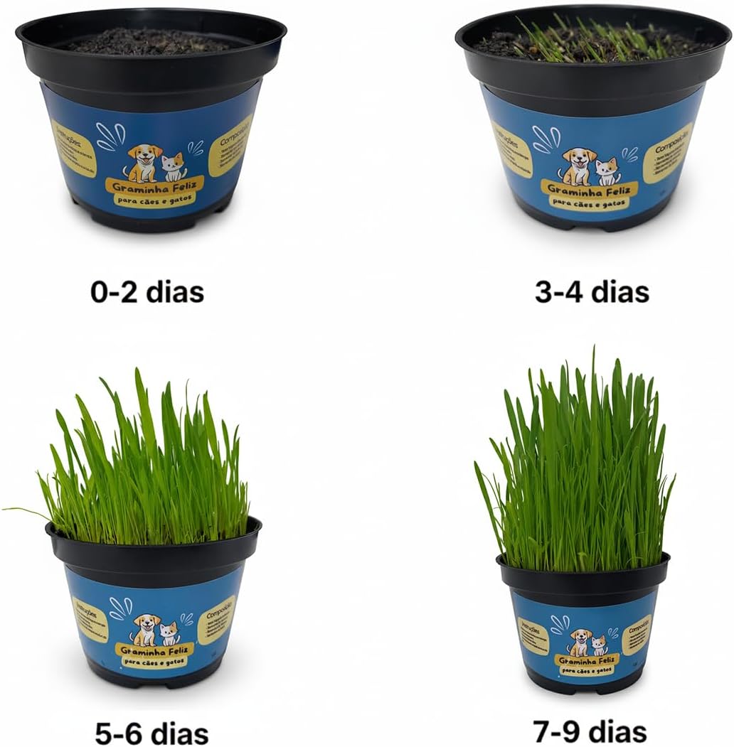 Graminha para Gatos e Cachorros – Saúde Intestinal e Redução de Bolas de Pelo | Kit Completo com Vaso e Sementes