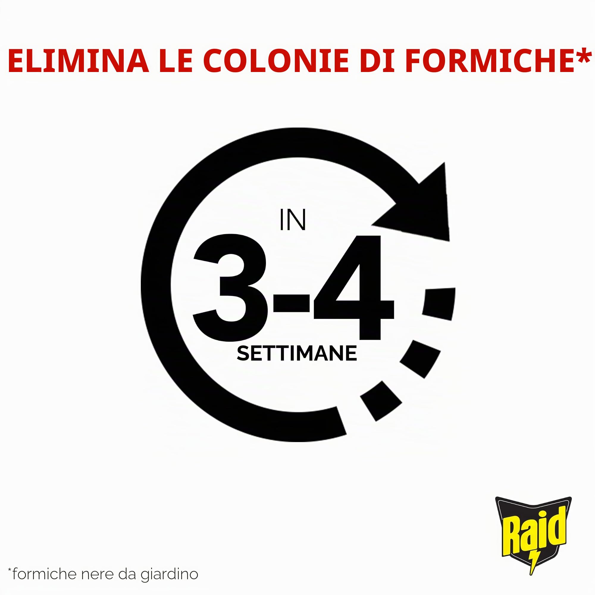 Raid Esca per formiche, a lunga durata, per interni ed esterni, distrugge i nidi, confezione da 12