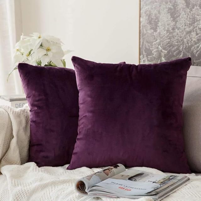MIULEE Decorative Velvet Cushion Covers 45cm x 45cm/Square Throw Pillowces for Sofa Bedroom with Invisible Zipper 18x18 Inch Aubergine Purple Sets of 2