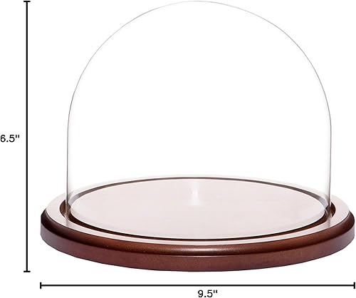 Miniatura 8 de Plymor Cúpula de cristal de 8" x 6.5" (sin base)