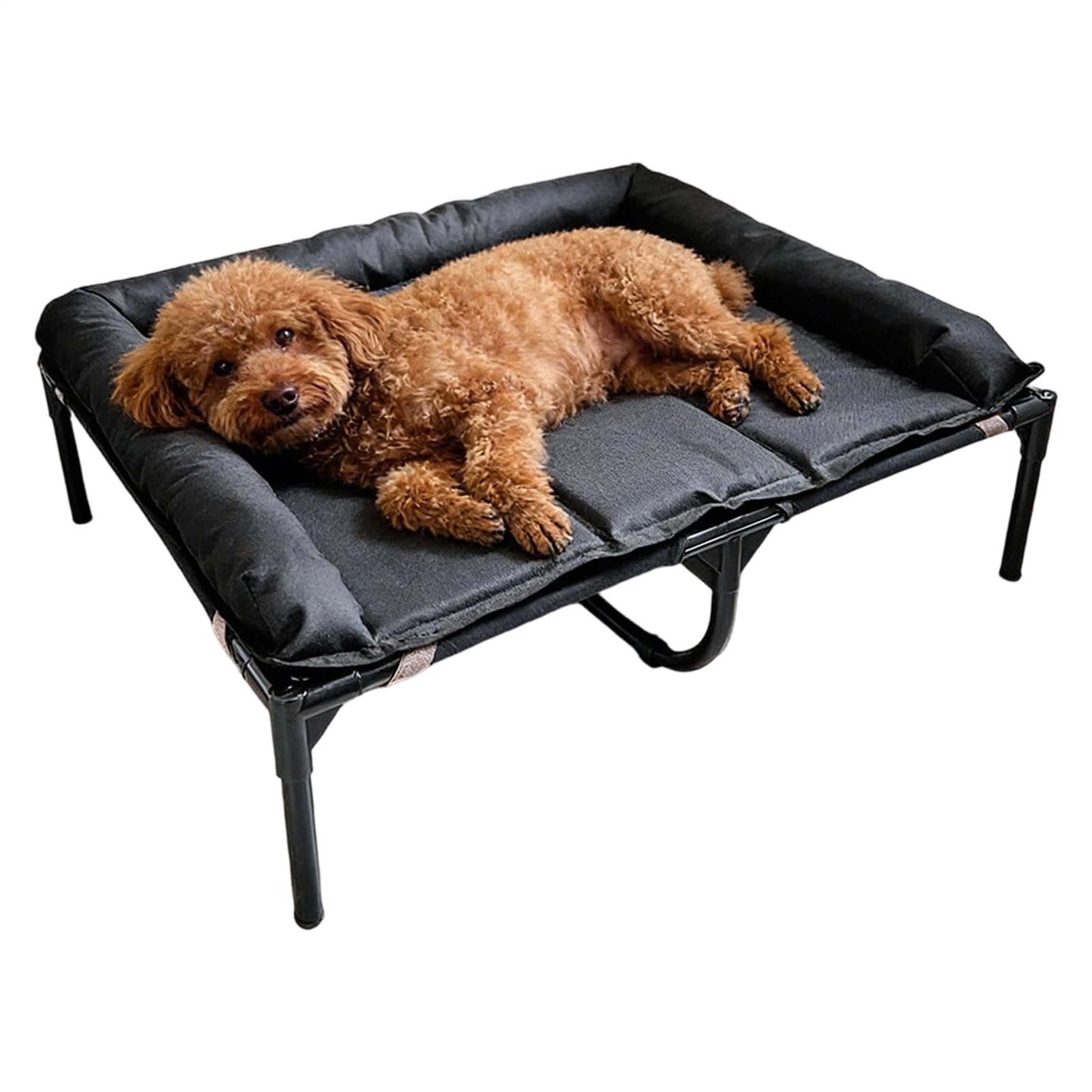 Camas De Perros Elevadas Colchoneta Impermeable Portátil