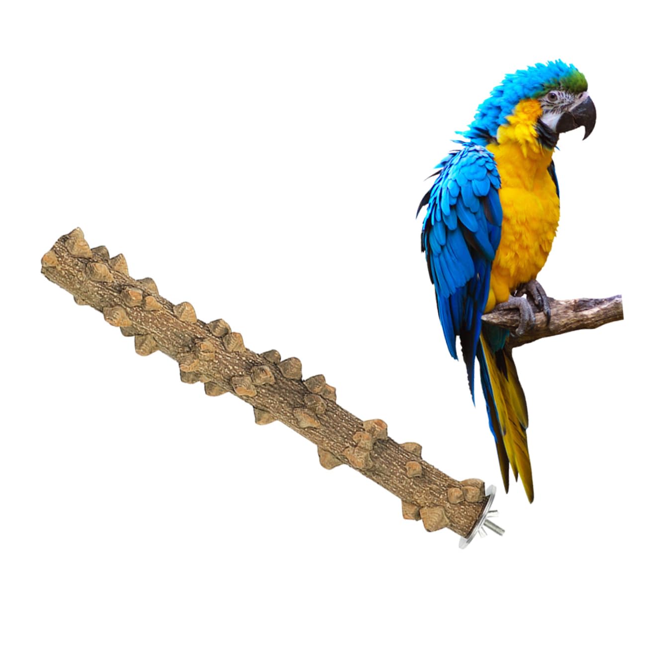 DOITOOL 3pièces Perchoir Bois Naturel pour Oiseaux Jouet Et Stand De Jeu pour Perroquets Cockatiels Conures Et Autres Petits Oiseaux
