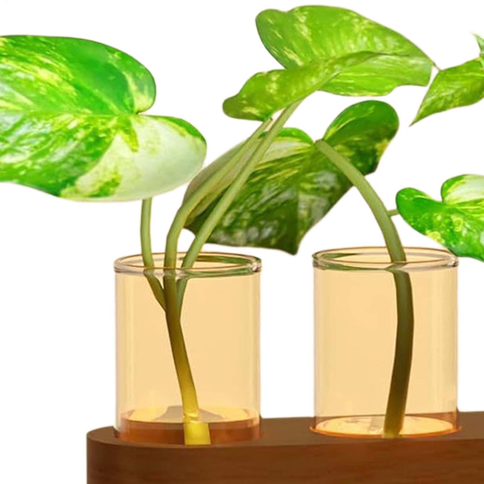 Vase De Propagation Terrarium avec Éclairage LED Réglable
