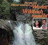  Wo der Wildbach rauscht