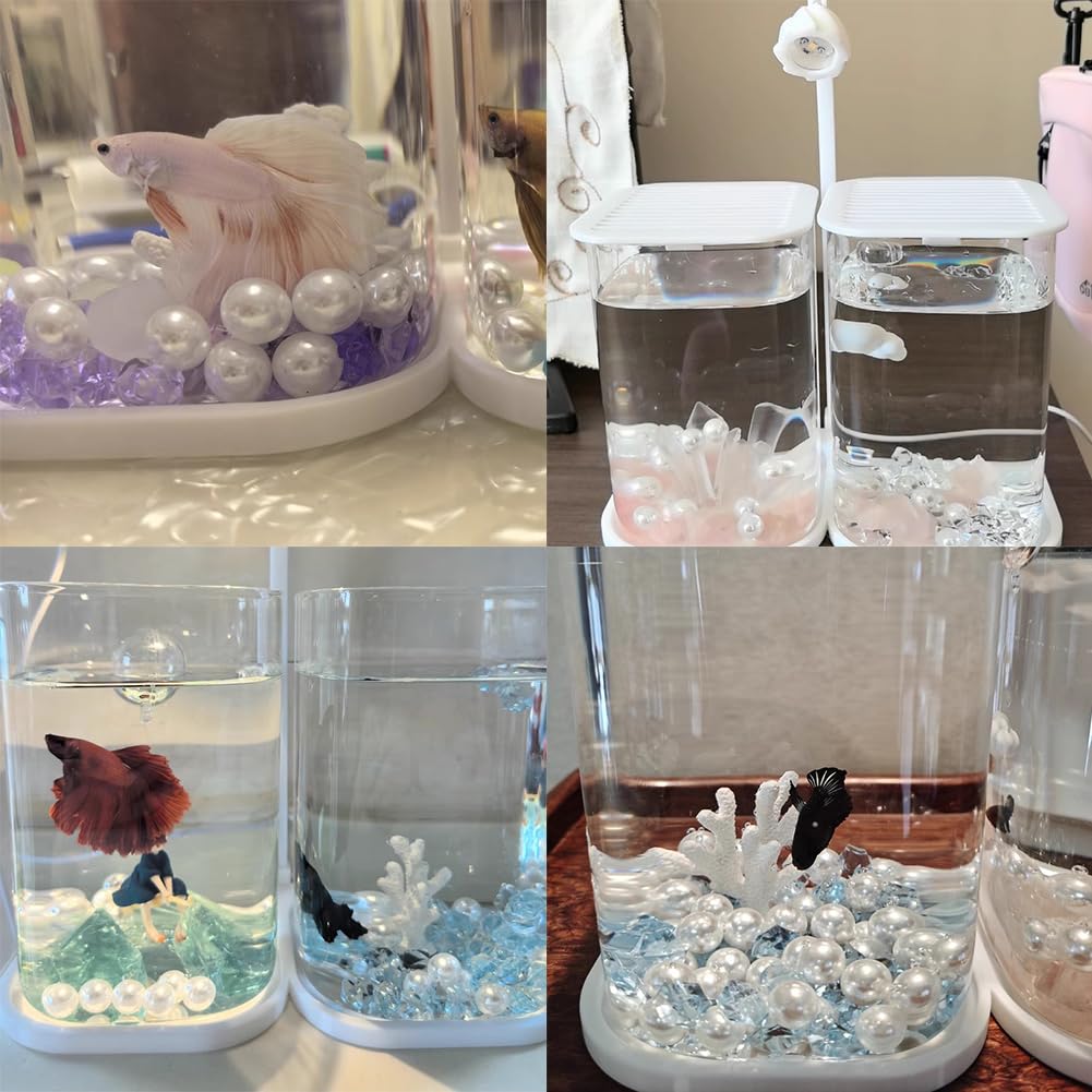 Mini-Desktop-Glas-Fischbecken mit LED-Licht – hohe Transparenz kleines Aquarium für Anfänger, verdicktes tragbares Design, ideale Raumdekoration und Ornament
