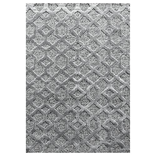Tapis PISA 4702 gris de 120 x 170 cm au design moderne et finitions soignées