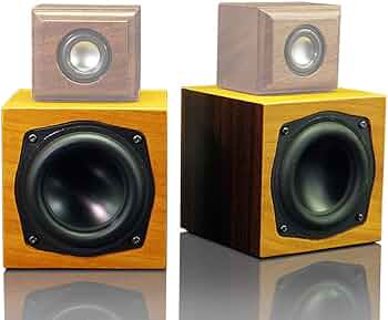 Amazon.co.jp: 高井工芸 ハイクラフト 超小型HC-TX051専用ウーハー HC