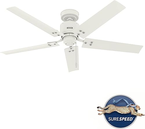 Miniatura 2 de Hunter Ventilador de techo de transición de 52 pulgadas de color blanco mate para interiores y exteriores y cadena de tracción