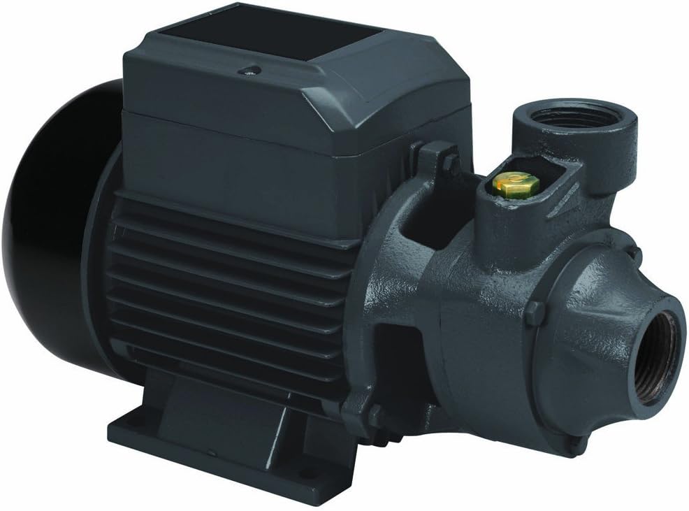 Pacific Hydrostar 62508 3/4 HP Clear Water Pump 650 GPH, 98