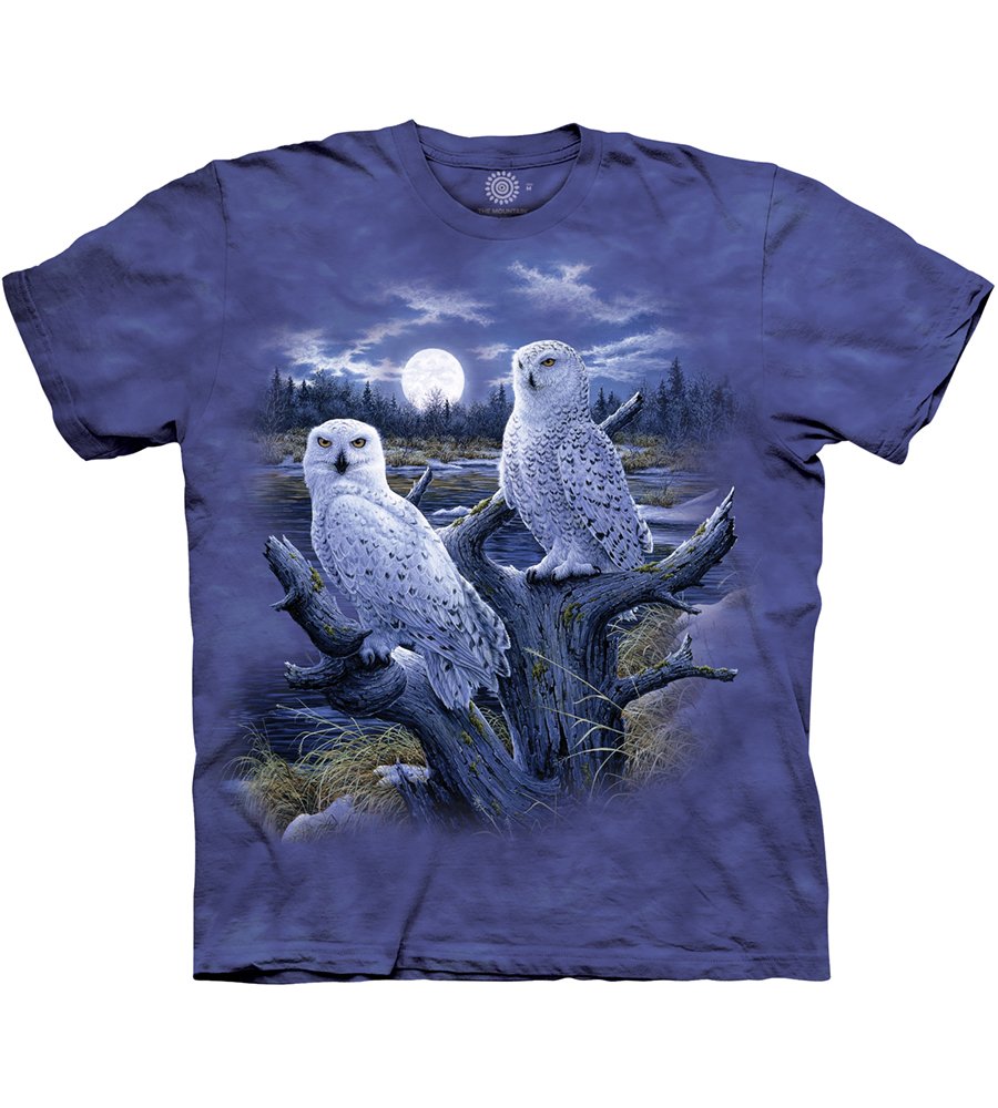 The Mountain Snowy Owls