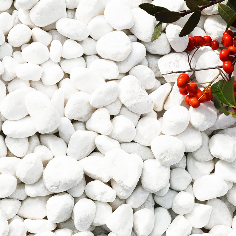 Amazon.co.jp: 高級玉砂利 5分（12mm～20mm）800g 白玉石 砂利 砕石