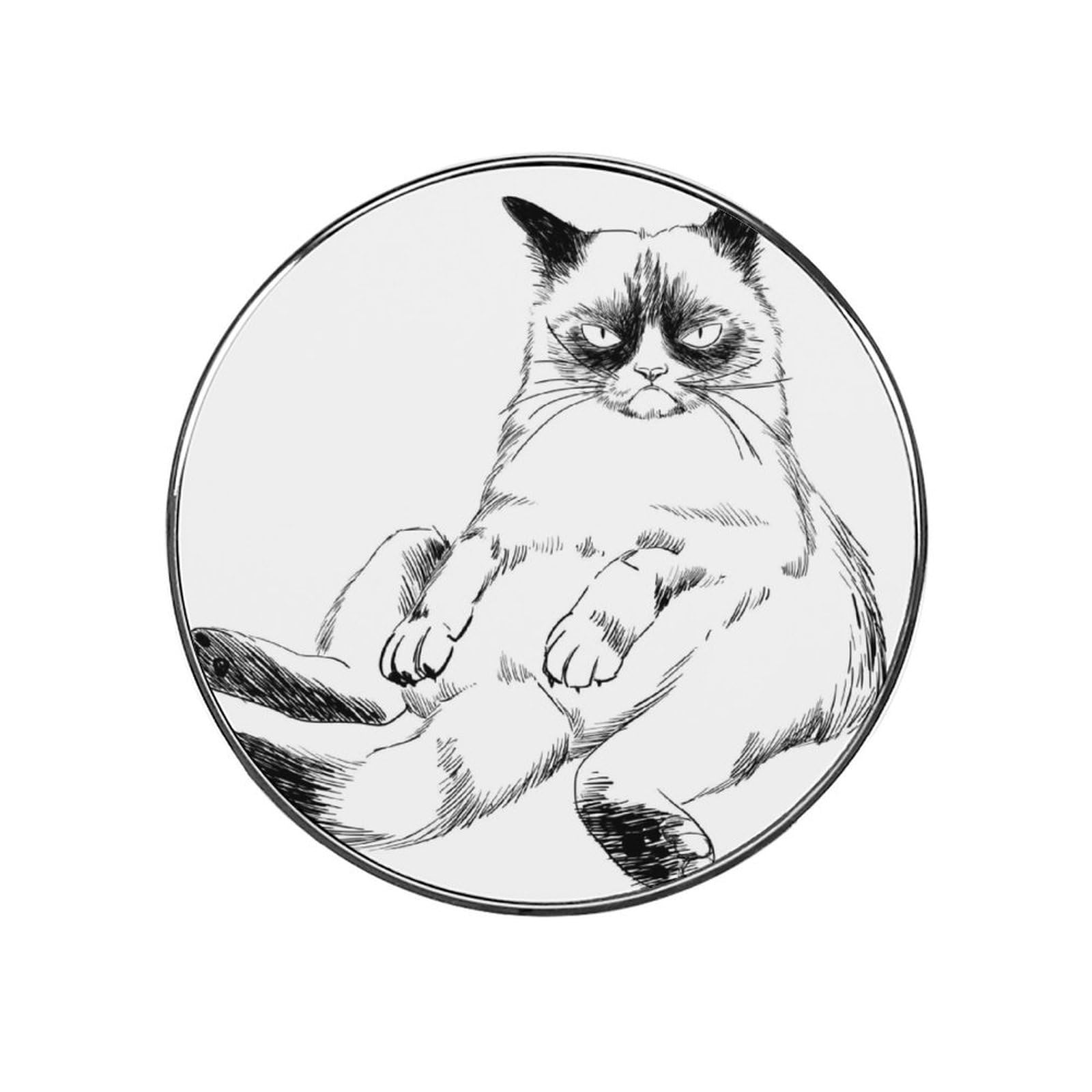Cool Cat Magnets For Fridge Kitchen Decoration For Refrigerators Whiteboards