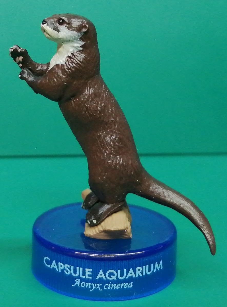 コツメカワウソの置物 カワウソ グッズ 箸置き 動物 陶器 水族館 アニマル コツメカワウソ 置物