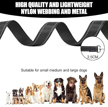 Two Point Control Dog Leash, Professional Anti-Pull Dog Lead with Reflective Stitching and Soft Padded, Works with No Pull Harnesses, Easy to Convert to Single Lead for Small Medium Dogs(Black)