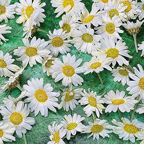 Edible Freeze Dried White Daisy Flower Heads Cover