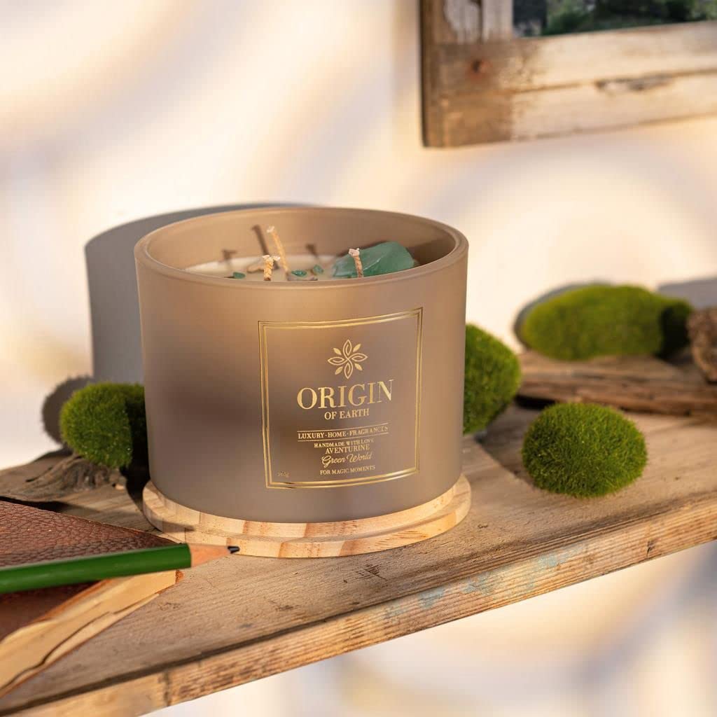 Vela aromática en tarro de cristal, vela de cera de soja natural para el hogar, 40 – 50 horas de tiempo de combustión, aroma de Greenworld, vela de vacaciones, velas perfumadas, 340 g