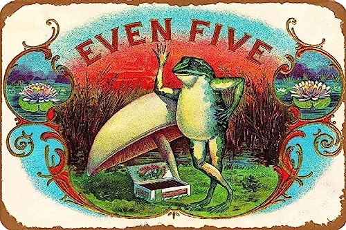 AJ AeB[N Ŕ̃uLŔ 20X30cm 5JGre[WVK[^oR{bNXNCCi[xvg B[W uL AJ W 20X30cm