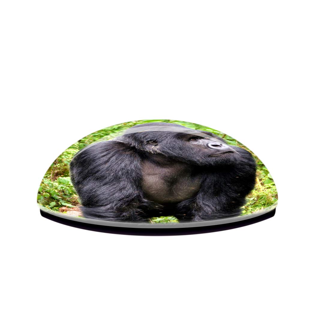 Weekino Tanzania Kilimanjaro Calamità da frigo 3D Cristallo
