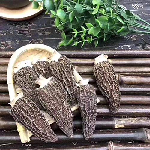 Mushroomstorm Premium Grade Dried Morel Mushrooms thumb #1