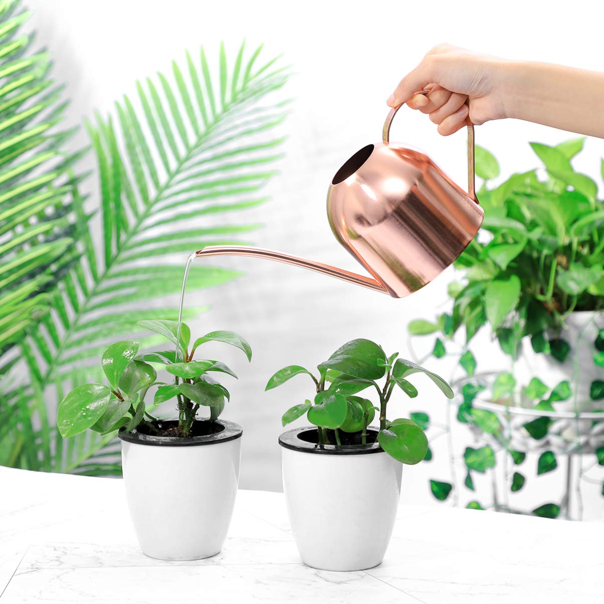 1 arrosoir en Acier Inoxydable pour Plantes d'intérieur ou Plantes d'intérieur - Long Bec - 1000 ML - Petit Pot d'arrosage de Jardin (cuivre)