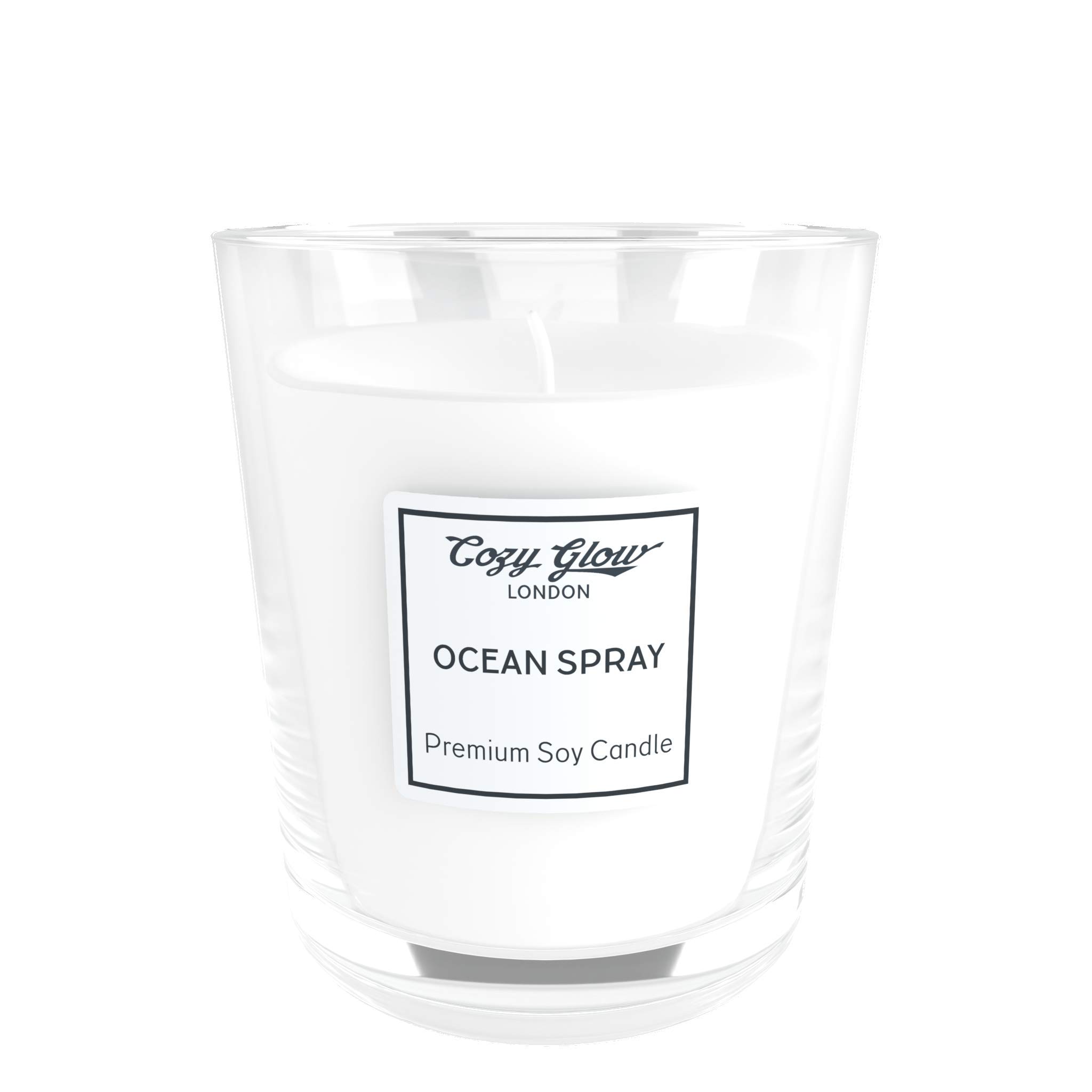 Bougie de soja Ocean Spray parfumée pour salon et décoration intérieure