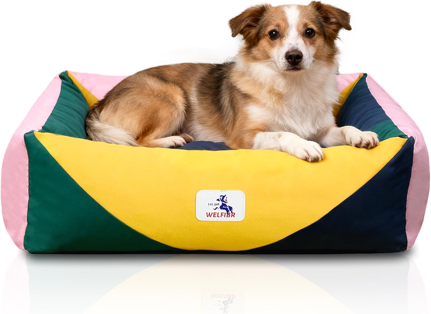 290 GSM Cotton Canvas Dog Couch Bed, Washable Removable Cover, Tough Bolster with Supportive Chopped Foam, Anti-Slip Bottom (Medium)