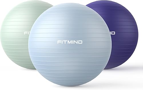 Miniatura 7 de FITMIND_ Extra Thick Exercise Ball Yoga Ball 22in26in30in for Workout Pregnancy Stability,Anti-Burst and Slip Resistant Swiss Ball with Pump for