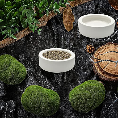 iHomeSet 2 Pcs Reptile Food Bowl Ceramic Water Feeder Bowls Anti- Escape Mini Reptile Feeder for Lizard, Gecko etc… - Image 7
