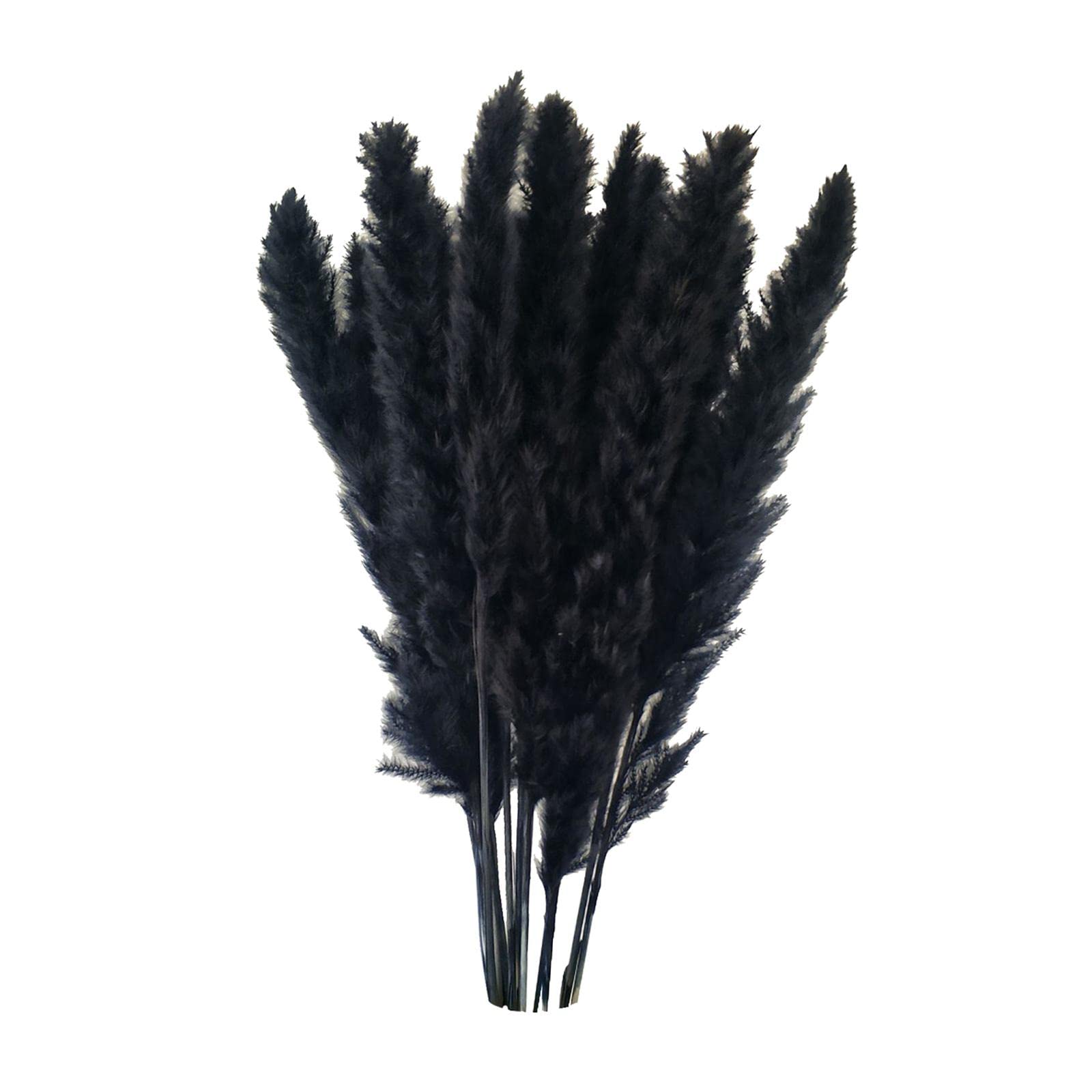45x Dried Pampas Grass Phragmites Reed Flower Bunch Home Wedding Decor Gift-image-22