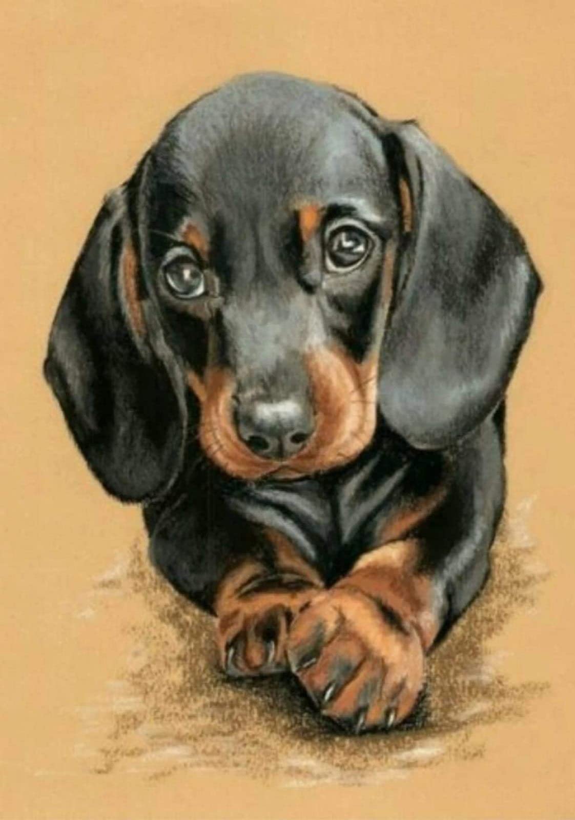 5D Diamond Painting Kits for Adults,Small Dachshund Dog Full Drill Crystal Rhinestone Diamond Art Gem Painting，Diamond Painting Animals for Home Wall Decor -15.7×19.7inch(Round Drill)
