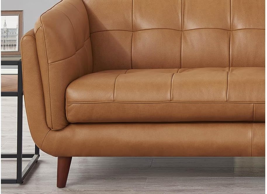 Hydeline Solana Top Grain Leather Loveseat, Cinnamon Brown, Feather Down, Memory Foam and Springs Seating