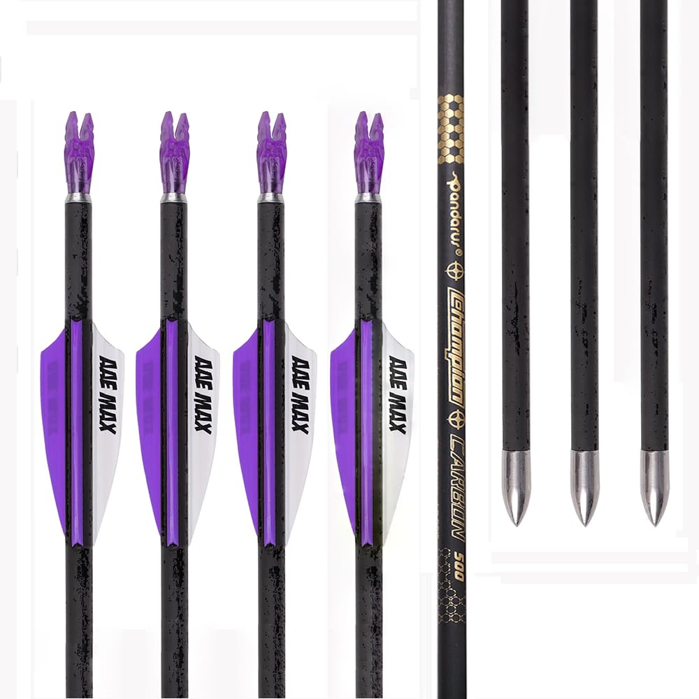 12 Pezzi Frecce da Competizione ID 4,2 mm Viola Bianco Scanalature per l'aria Piuma Freccia da Tiro con L'Arco Spine 300 400 500 600 700 800 900 1000 1100 1200 1300 1400 1500