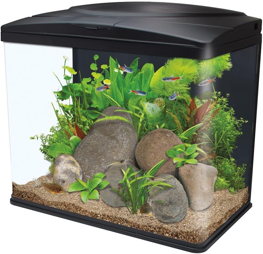 Interpet Fish Box LED Aquarium Fish Tank, 54 L