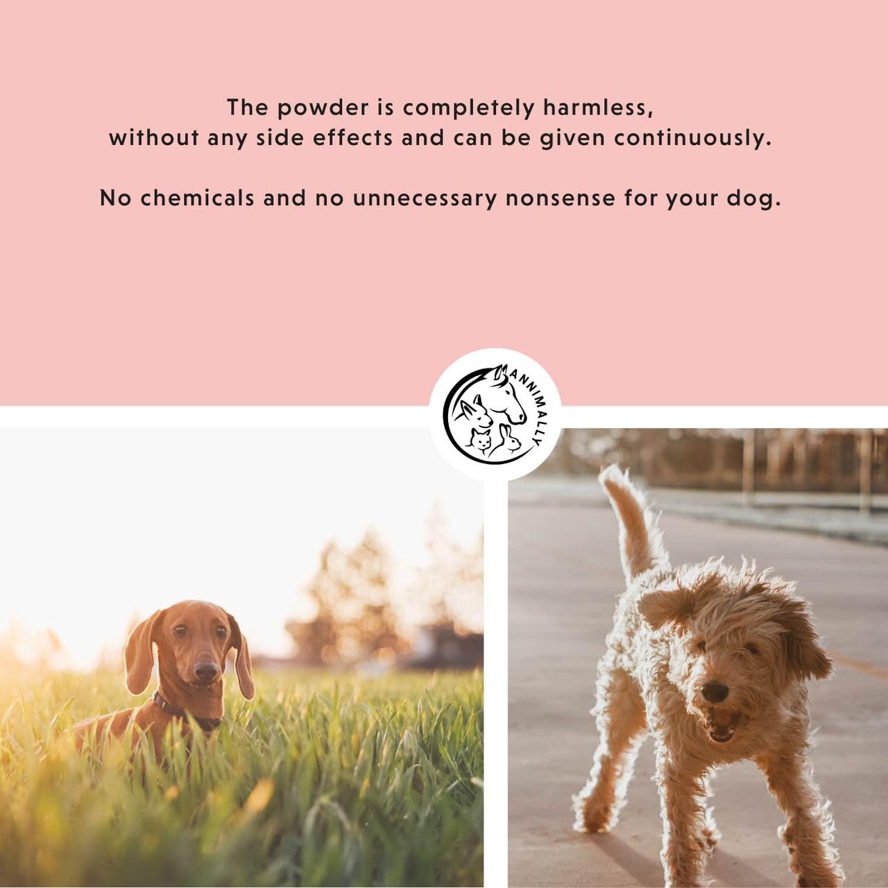 Annimally Kick The Tick Powder for Dogs, 400g with Black Cumin Oil, Rockrose Herb, Brewerβs Yeast & Seaweed - Image 3