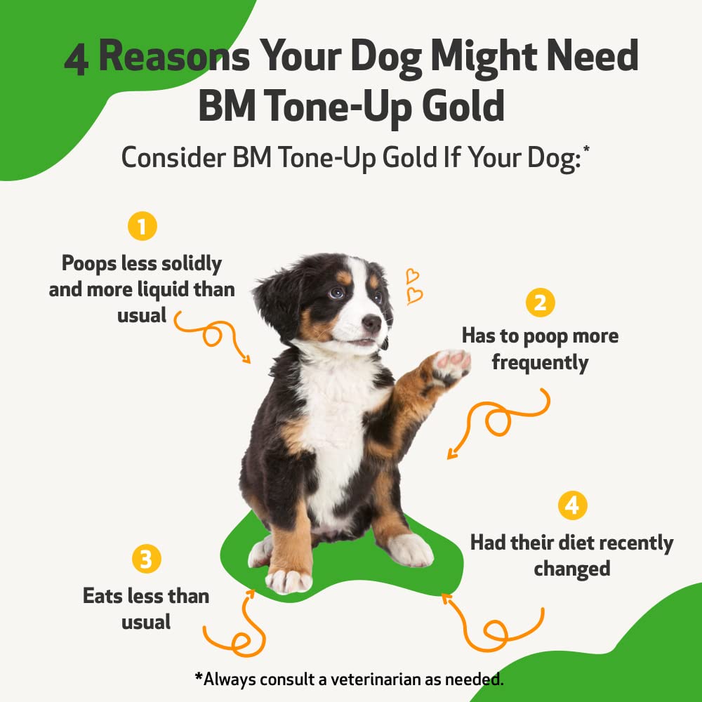 Why Does My Dog Constantly Have Loose Stools