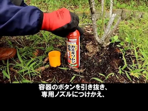 Amazon Co Jp 住友化学園芸 殺虫剤 園芸用キンチョールe カミキリムシ 幼虫 退治 Diy 工具 ガーデン