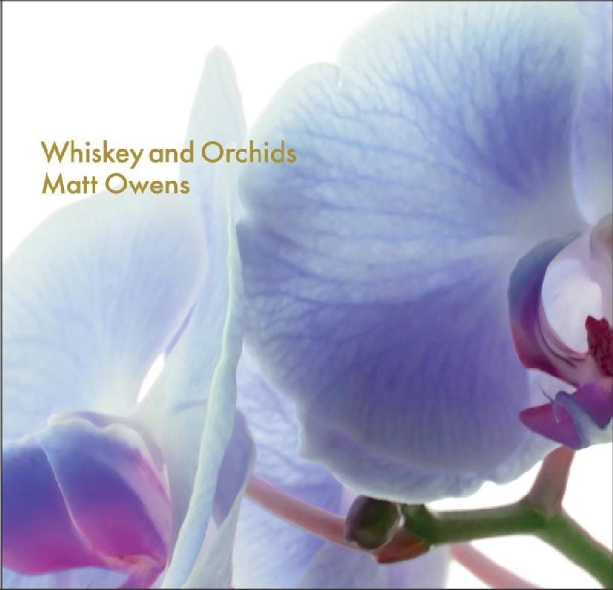 Matt Owens Whiskey and Orchids CD Europe Mattowenmusic 2018 in digipak - sealed