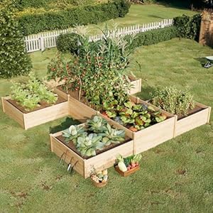 AMERLIFE 12x12x2 FT Wooden Raised Garden Bed, H-Shaped Planter Box with Double-Layer Design, 180 Cu. Ft Capacity for Outdoor Patio & Backyard