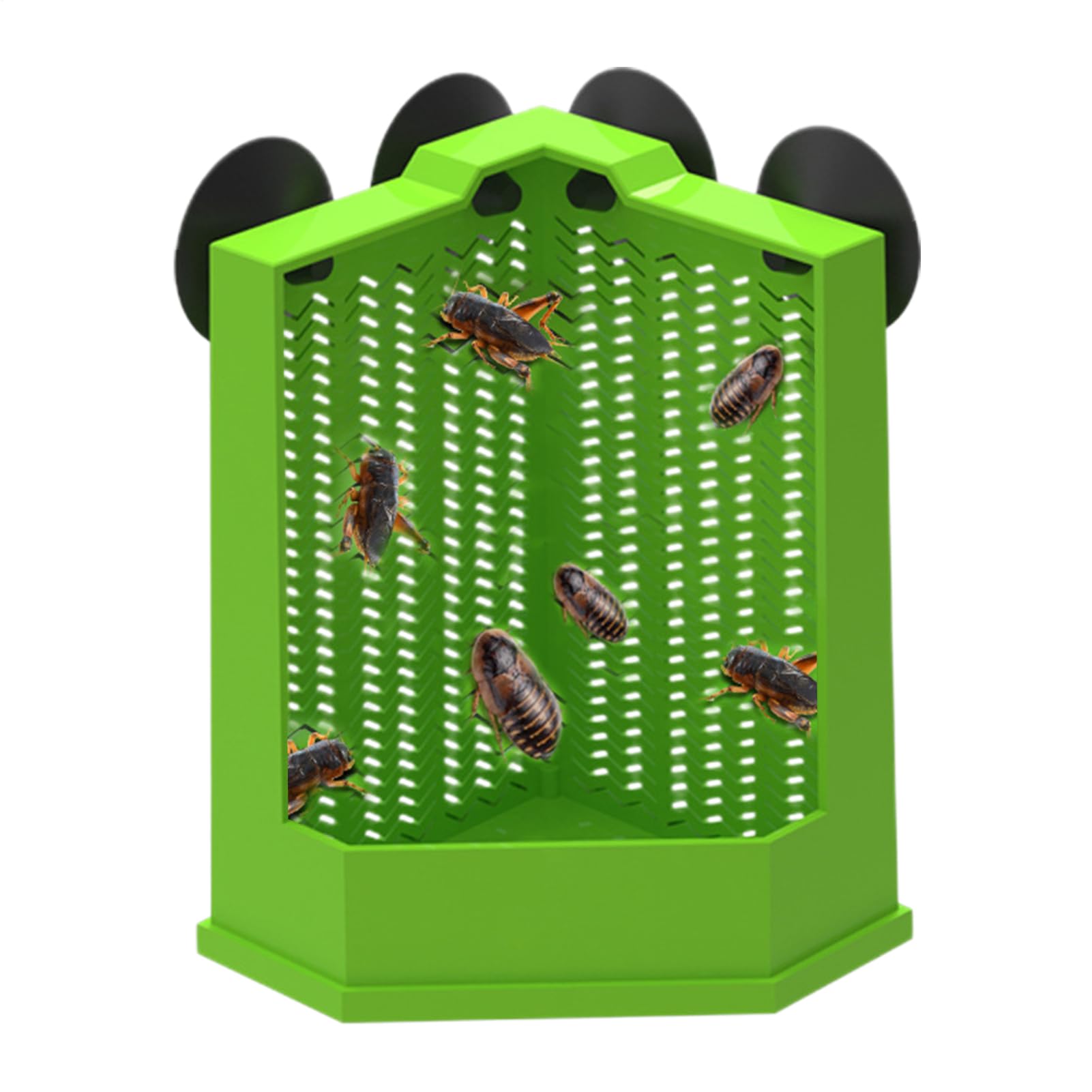 cibo per drago barbuto Mangiatoia angolare arrampicata | Alimentatrice con per Lucertole e Tartarughe Per lucertola arrampicatrice camaleonte tartaruga rana terrario custode