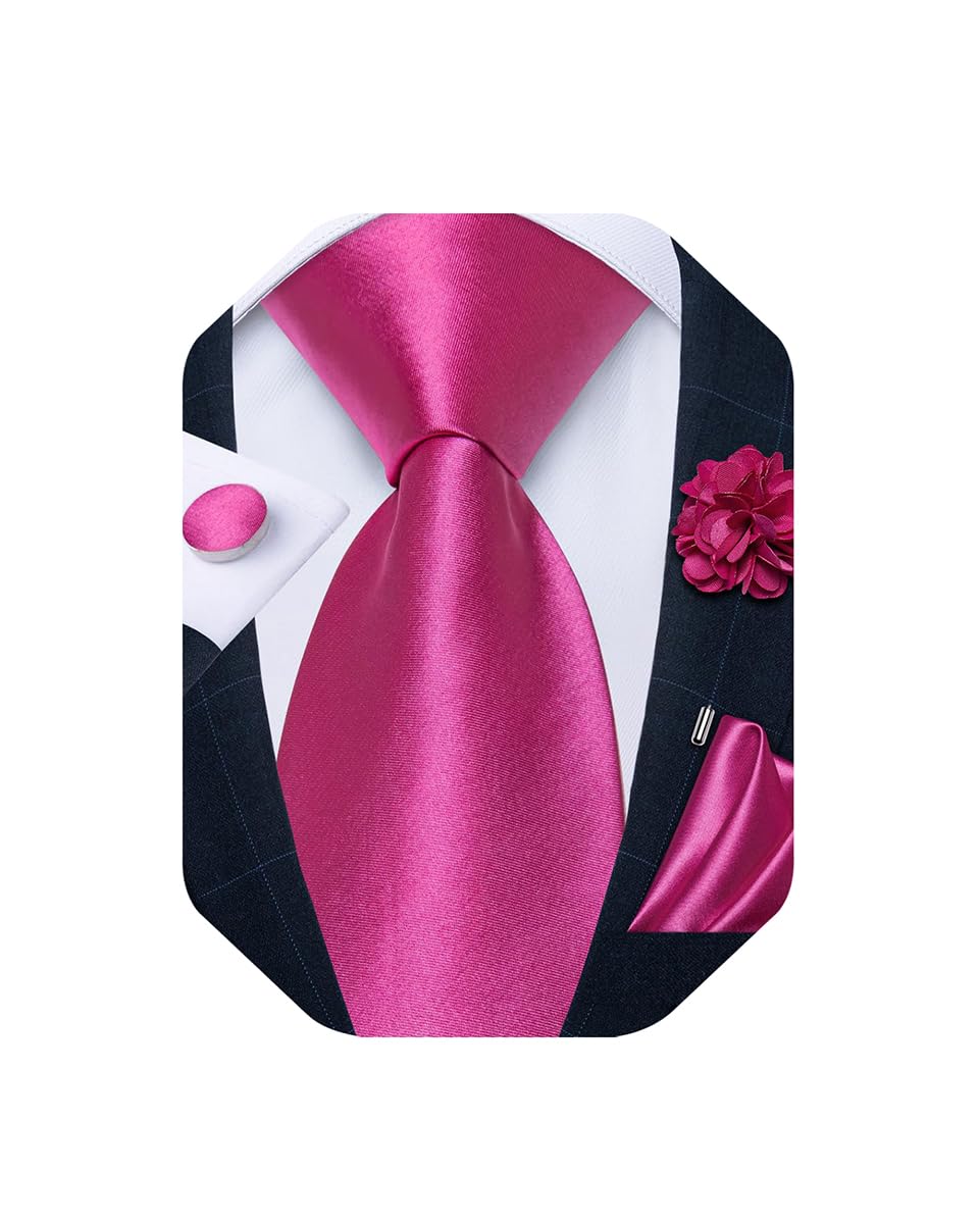 DiBanGu mens Tie Formal (pack of 5)