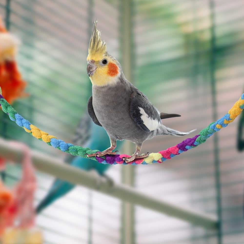 DONGKER Corda Arrampicata per Piccoli Animali,2/4 Pezzi Giocattolo per Aliante Zucchero con Fibbia in Metallo per Ratto Furetto Pappagallo Esplora Esercizio