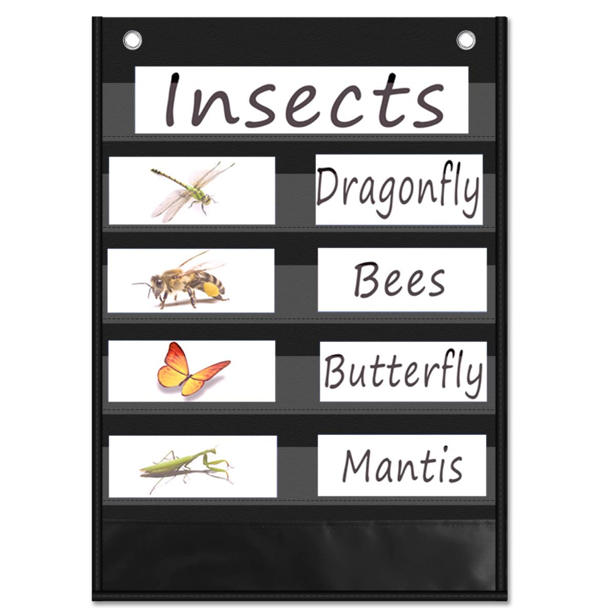 Double-Sided Dry Erase Pocket Chart for Classroom – 5+1 Multi-Purpose Organizer with 10 Reusable Cards (Daily Schedule, Standards, Sentence Strips) – Heavy-Duty Nylon for Teachers & Homeschool (black)