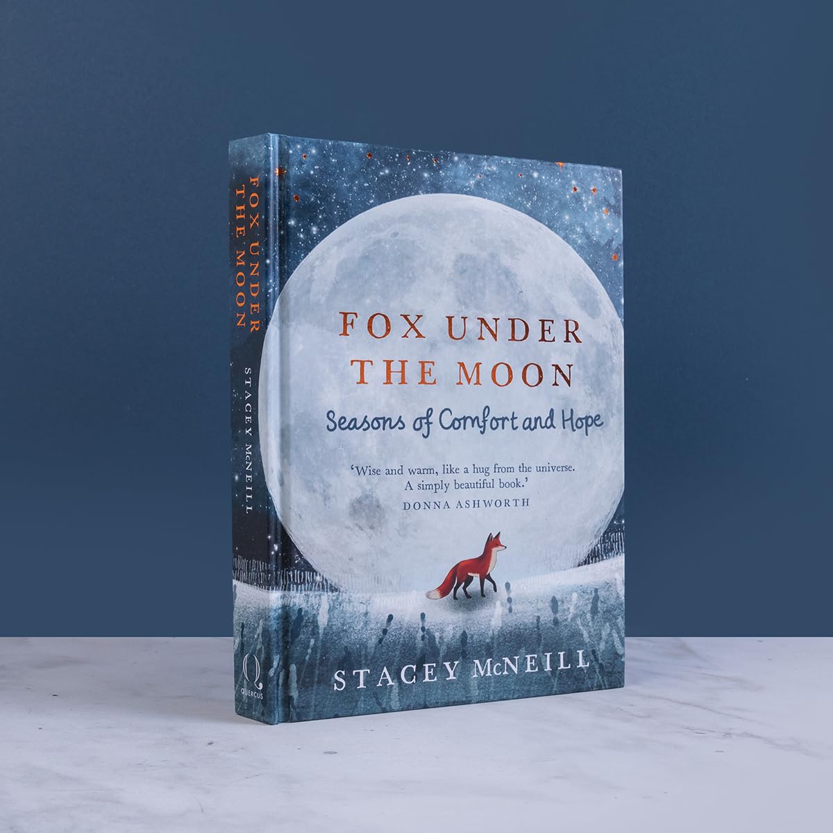 Fox Under the Moon: Seasons of Comfort and Hope