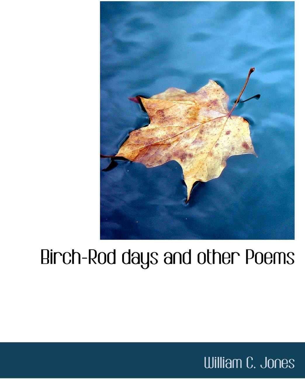Birch-Rod Days and Other Poems