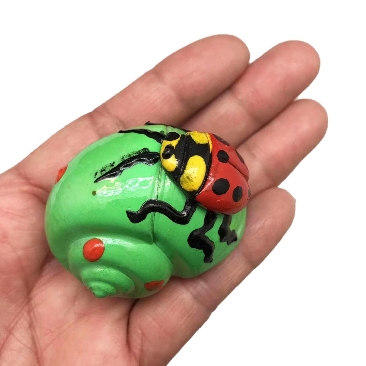 Amazon.com: Hermit Crab Shells.Painted Hermit Crab Shells for Home