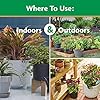 Miracle-Gro Water Soluble All Purpose Plant Food - Fertilizer For All Indoor or Outdoor Plants including Roses, Flowers, Vegetables, Houseplants, Trees, and Shrubs, 3 lbs.