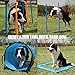 ANC POP Dog Agility Training Equipment Pet Obstacle Training Course Kit Dog Outdoor Games with Tunnel, Adjustable Hurdle, Pause Box, Toys and Carrying Bag