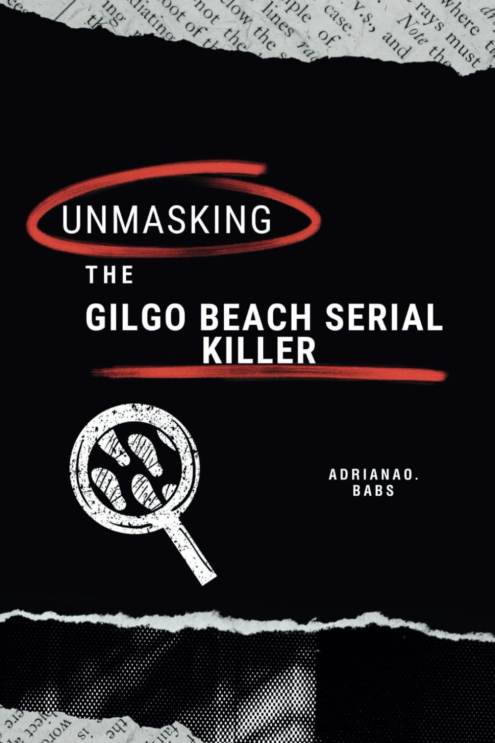 Unmasking the Gilgo beach Serial Killer A Chilling True Crime Story of