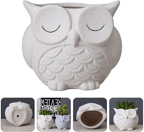 Miniatura 9 de Cabilock Maceta de búho para decoración al aire libre, maceta de cerámica para suculentas, maceta, maceta, maceta, bonsái, macetas, búho, plantas,