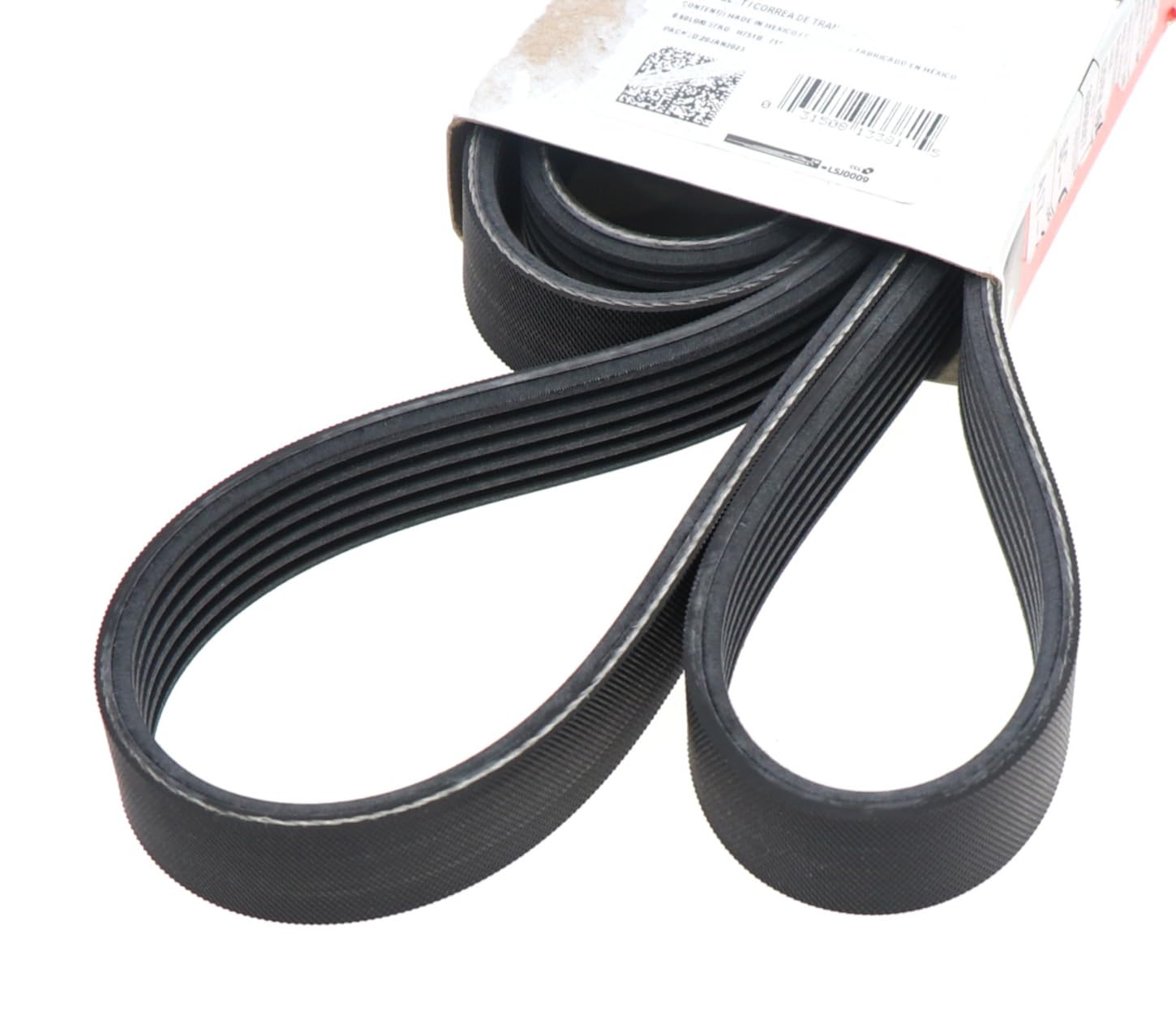 Amazon.com: Motorcraft V-Belt for 2019 Ford E-Series, Stripped